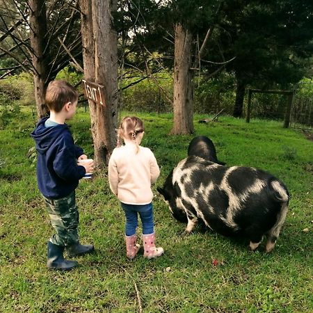 Fernhill Guest Farm Vila Knysna Exterior foto