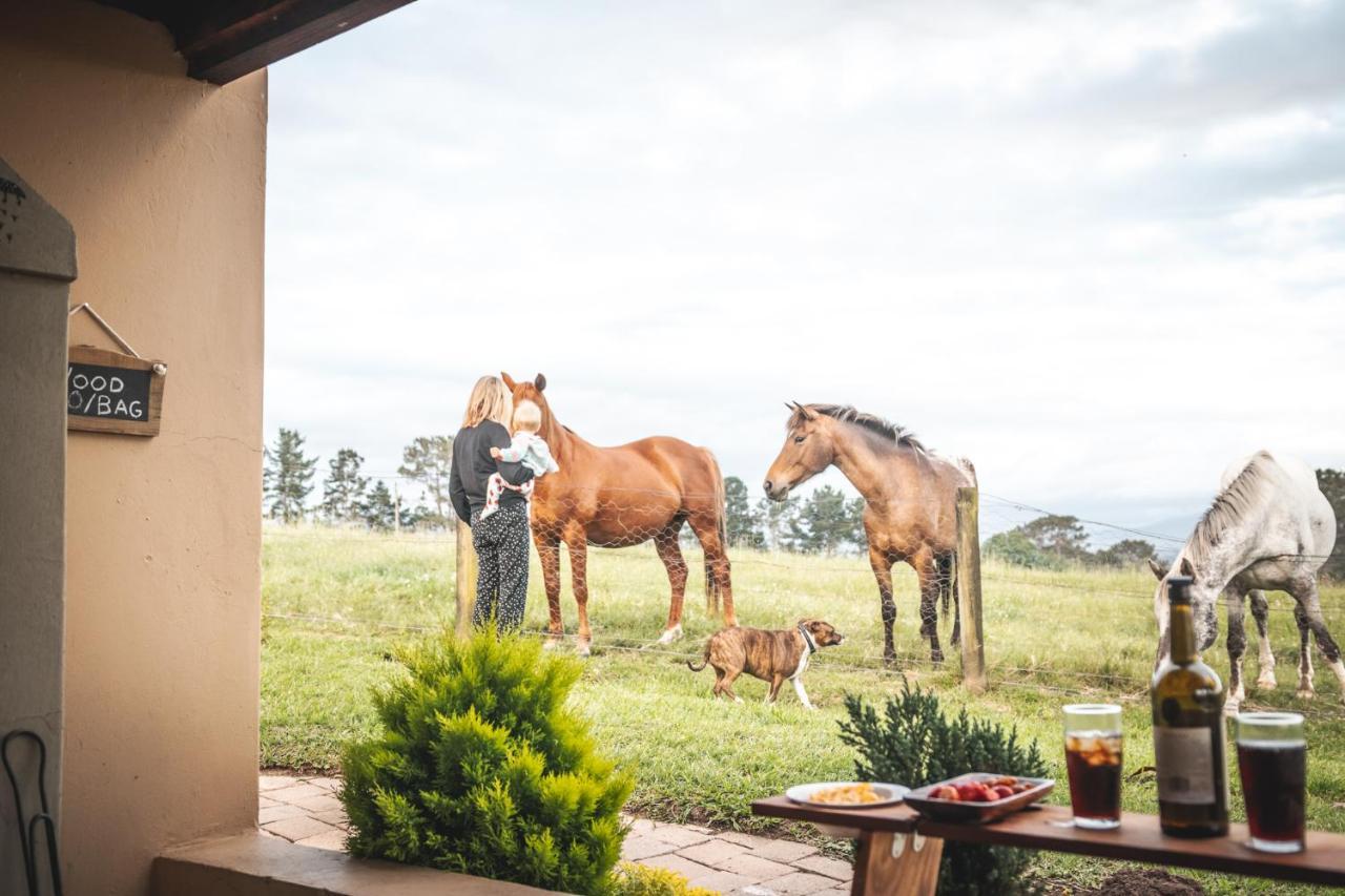 Fernhill Guest Farm Vila Knysna Exterior foto