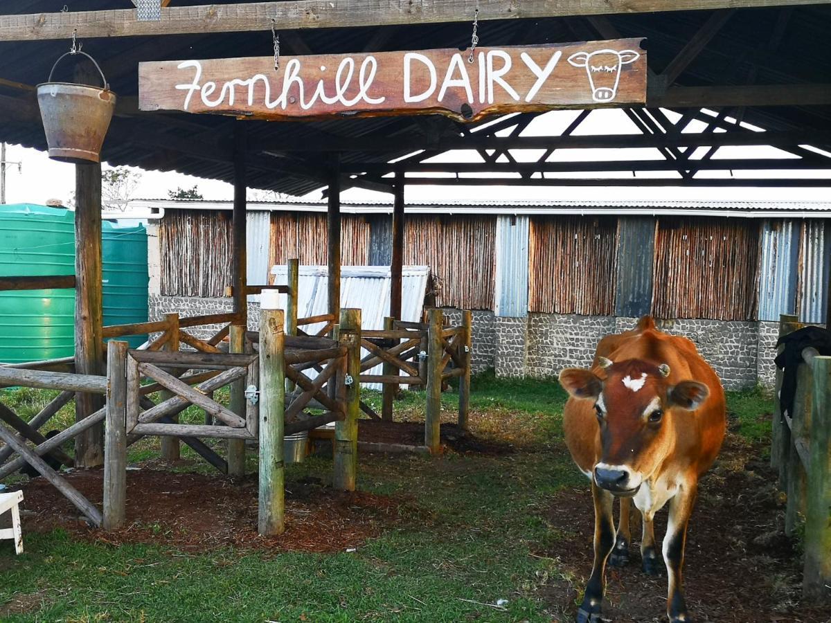 Fernhill Guest Farm Vila Knysna Exterior foto