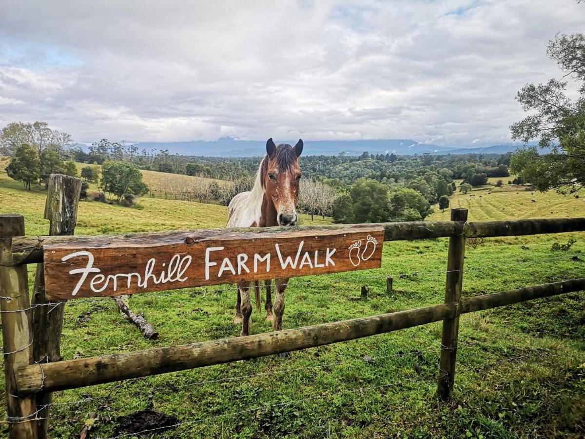 Fernhill Guest Farm Vila Knysna Exterior foto