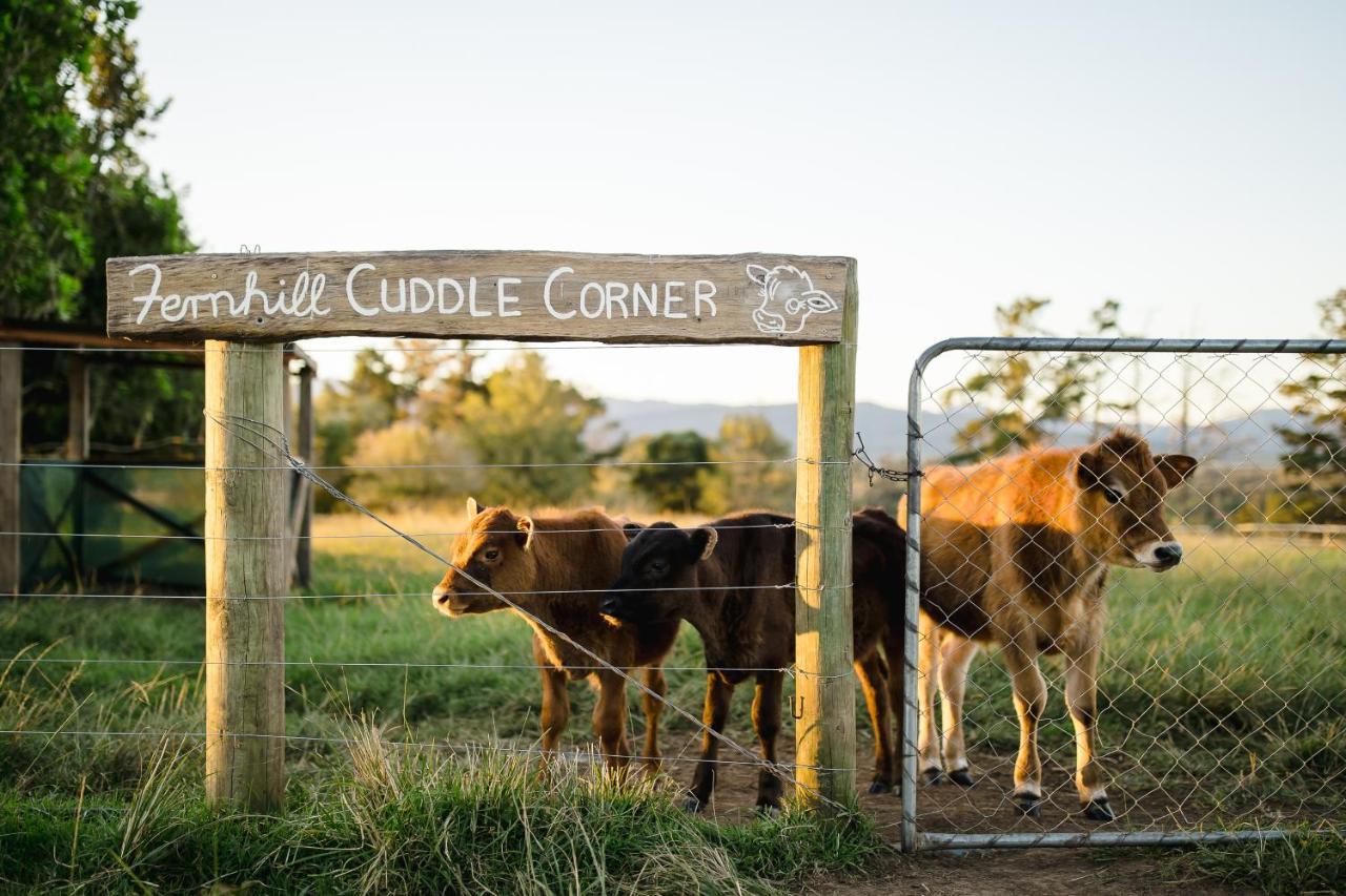Fernhill Guest Farm Vila Knysna Exterior foto