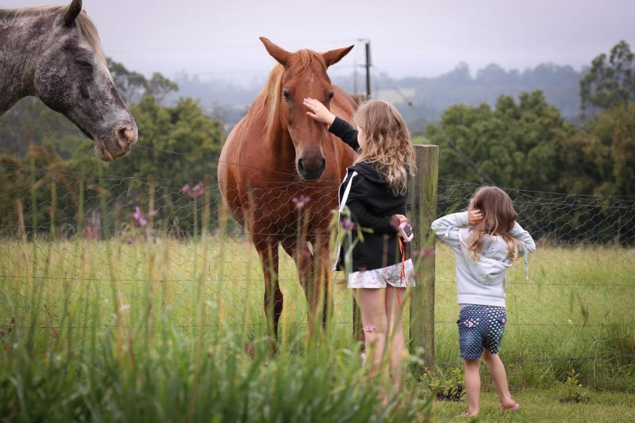 Fernhill Guest Farm Vila Knysna Exterior foto